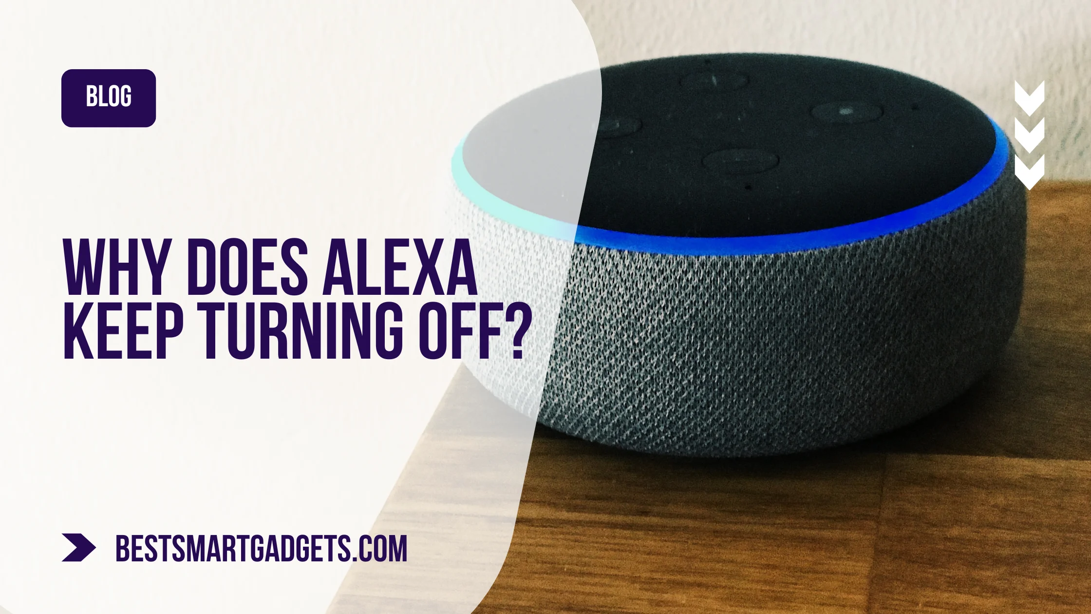 Why Does Alexa Keep Turning Off
